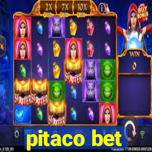 pitaco bet